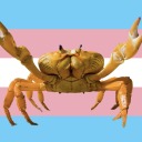 crabsaremiraculous avatar