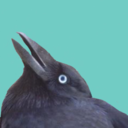 crowmemes avatar