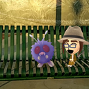 csolarstorm avatar