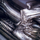 dailygiger avatar