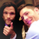 dailypadackles avatar