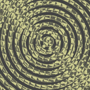 danysternfeld avatar