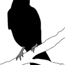 darkestcrow avatar