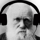 darwinianmusic avatar