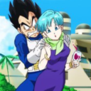 dbz-vegeta-bulma avatar