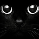 deranged-black-kitten avatar