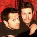 destiel-and-sterek-shipper avatar