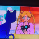 dietpeepsi avatar