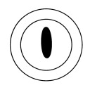 dinnerplateeye avatar