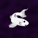 disquietedpalefish-art avatar