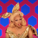 dragraceshitposts avatar