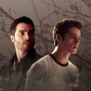 drarry-sterek avatar