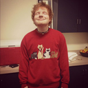 ed-sheeran-music avatar