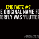 epicfactz-blog avatar