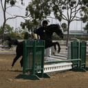 equestrianof-the-lbc avatar