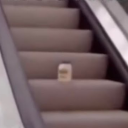 escalatoralamayonnaise avatar