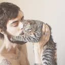 facialhairandfelines avatar