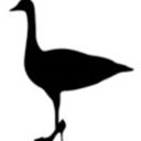 fashionfoiegras avatar