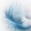 feathersandblue avatar