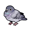 feedyourpigeons avatar