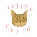 felinechildren avatar