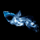 ferretshark avatar