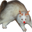 festiveferret avatar