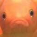 fishfishbestfish avatar