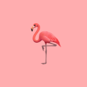 flamingos-fictional-others avatar