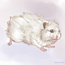 fluffyrodents avatar