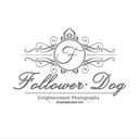 followerdog avatar