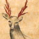 forestofdeer avatar