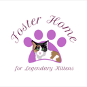 fosterhomeforlegendarykitte-blog avatar