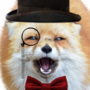 foxesdofly avatar