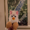 fresh-furby avatar