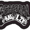 fuckyeahcerebralballzy-blog avatar