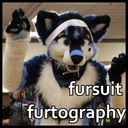 fursuitfurtography avatar