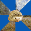 fyeaharthistorianhedgehog avatar