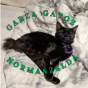 garzagatos avatar