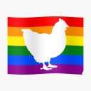 gaychickencollege avatar