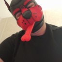 gaypupcole avatar