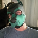 gaypupper avatar