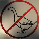 geese-hater avatar