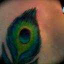 girlwiththepeacocktattoo avatar