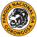 gorongosa avatar