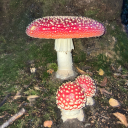 grimweaver666 avatar