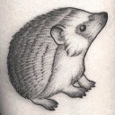 hedgehoglikestattoos avatar