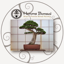 heronsbonsai avatar