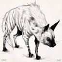 highlandhyena avatar