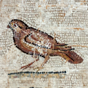 hiseyeisonthesparrow avatar